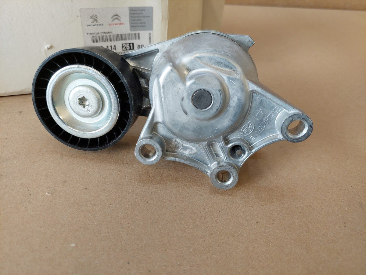 Image #4
