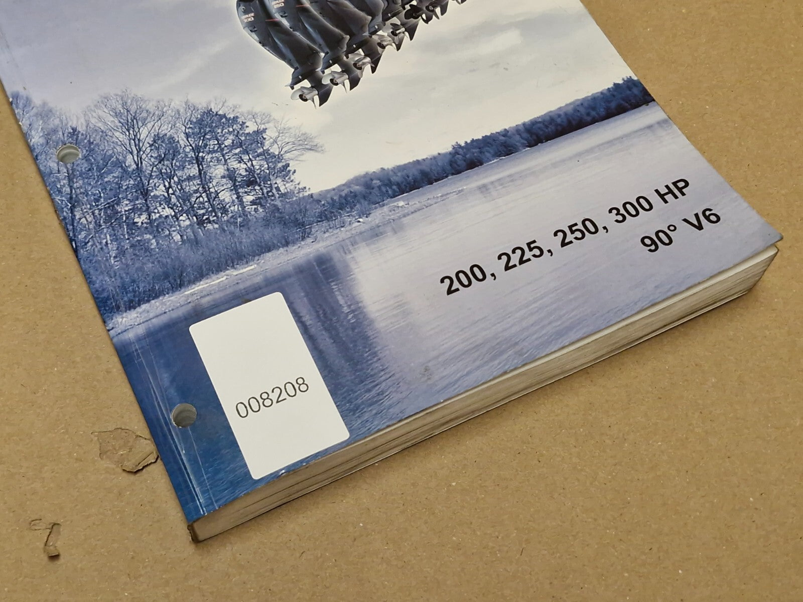 2010 Evinrude E-tec 200-225-250-300 Hp 90° V6 Service Manual 5008154 Genuine