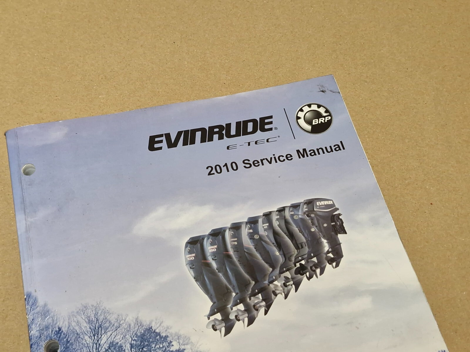 2010 Evinrude E-tec 200-225-250-300 Hp 90° V6 Service Manual 5008154 Genuine