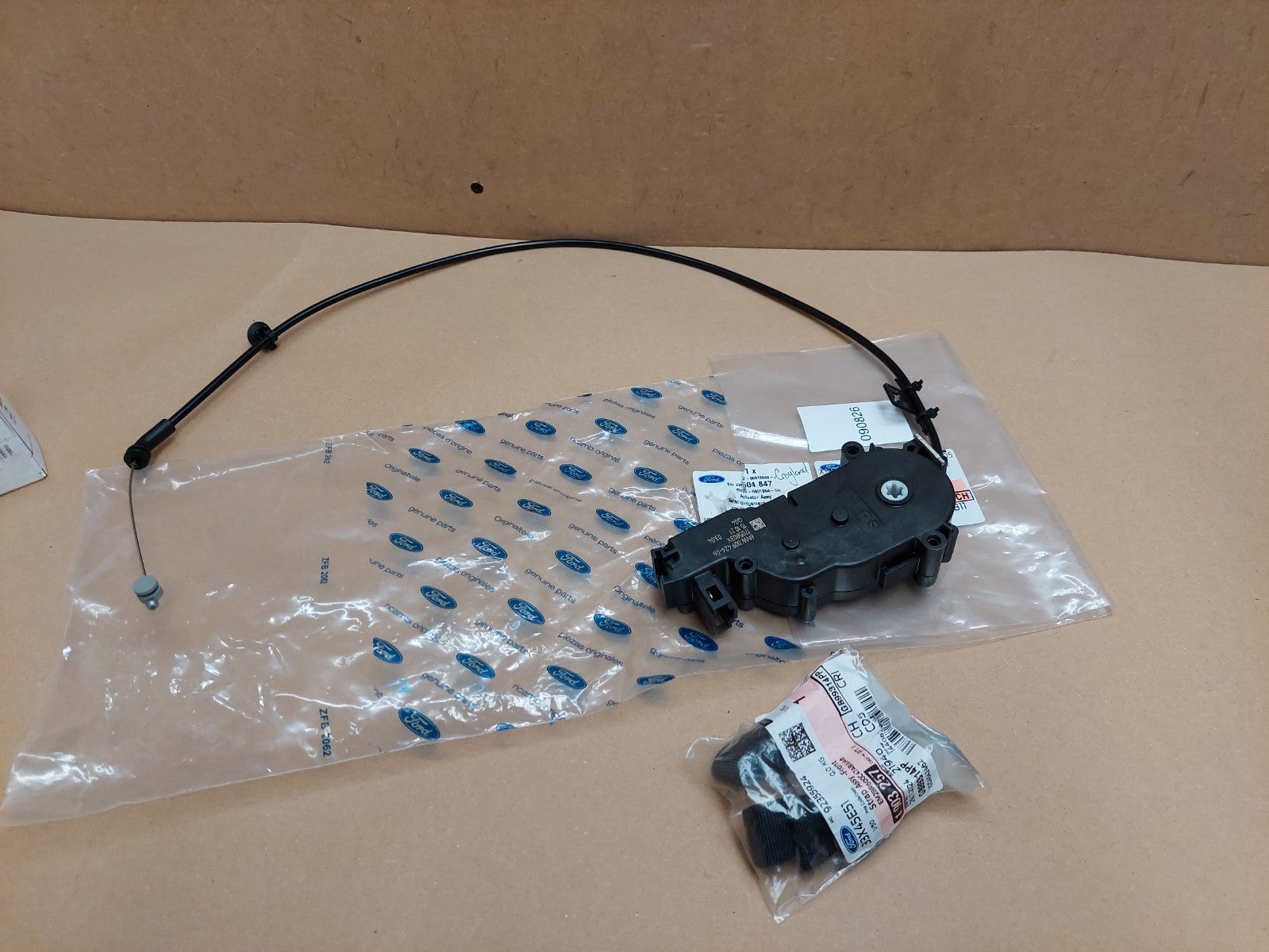 Image #8