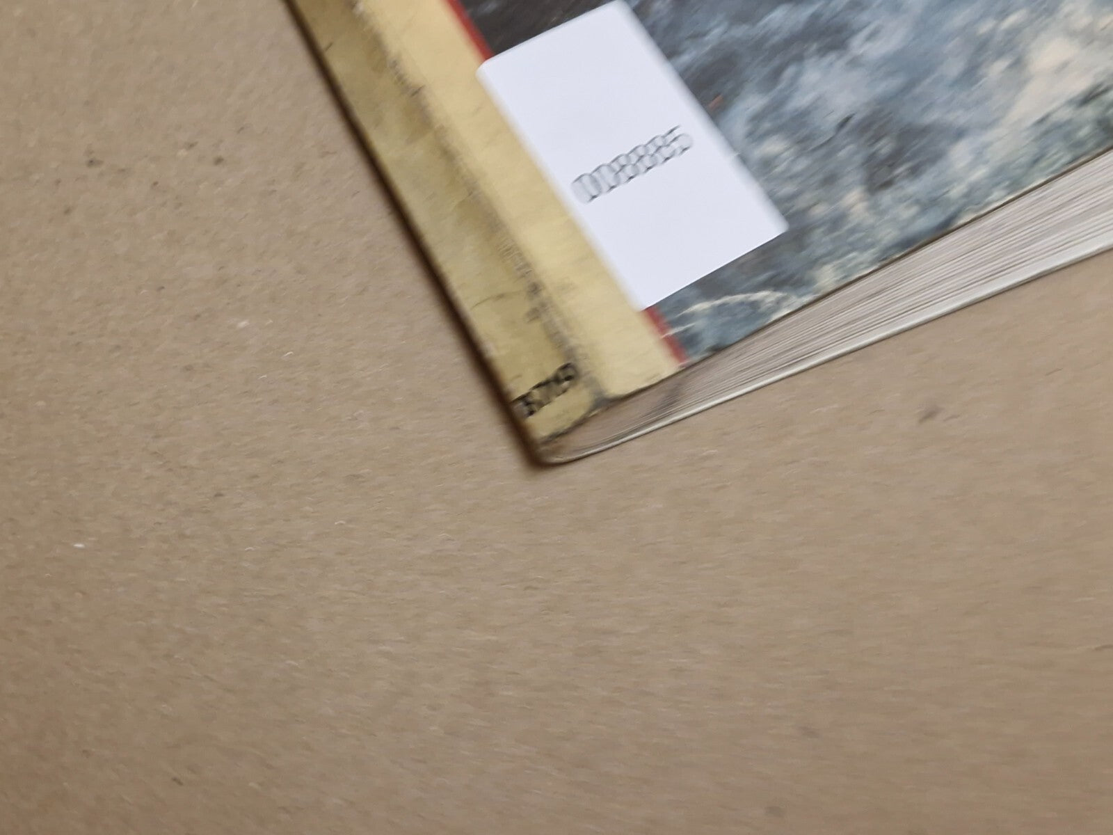 Image #3